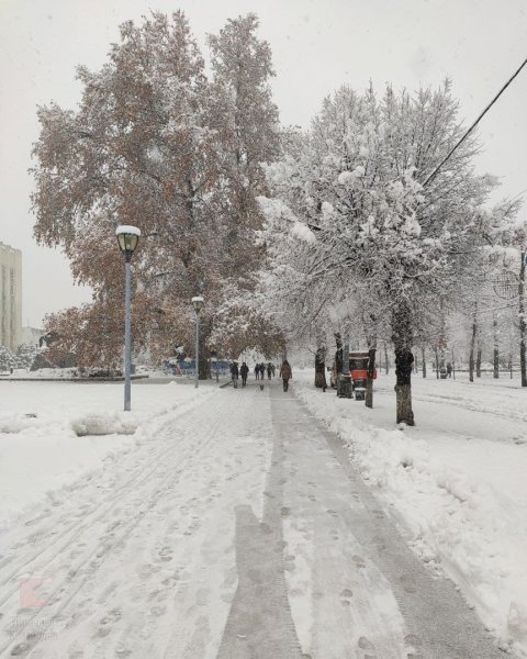 Краснодар зимой