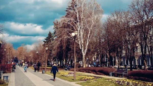 Зима в Краснодаре