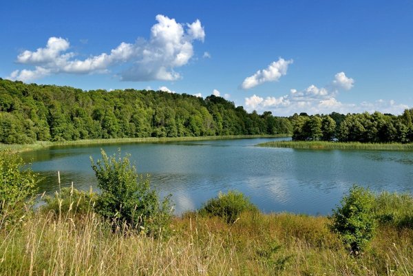 Синеокая Белоруссия