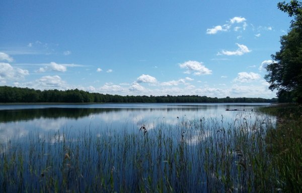 Деревня Нарочь Белоруссия