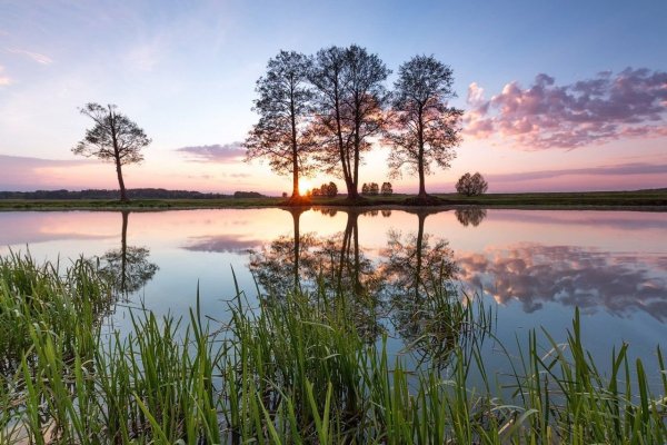 Озерцо река Белоруссия