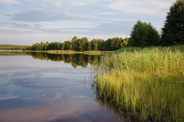 Озеро белорусское Неман
