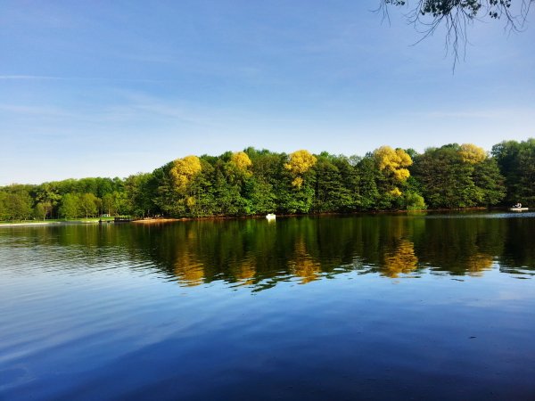Озеро глубокое Беларусь