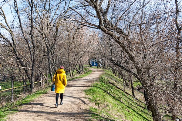 Прогулка весной