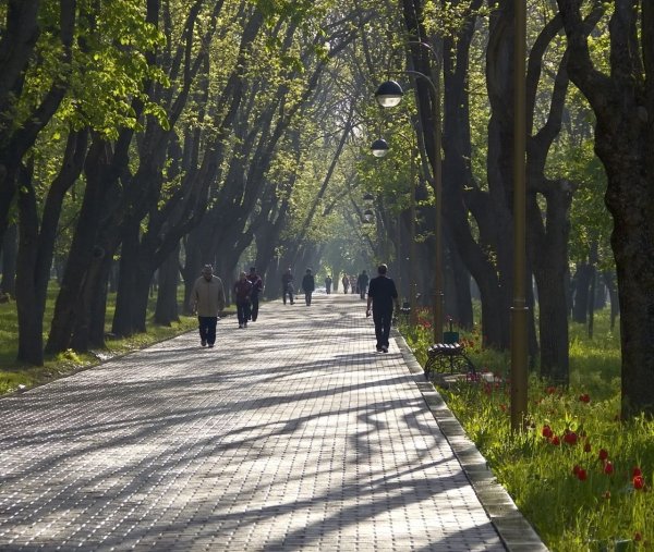 Парк в городе