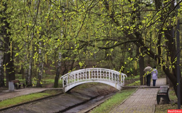 Весна прогулка в парке