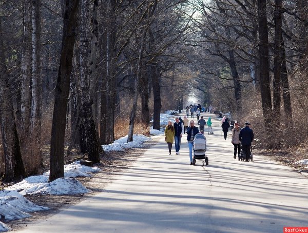 Прогулка в парке весной