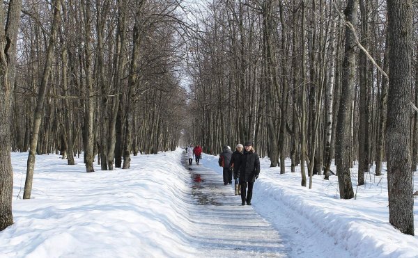 Прогулка в весеннем парке