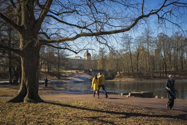 Прогулка в парке весной