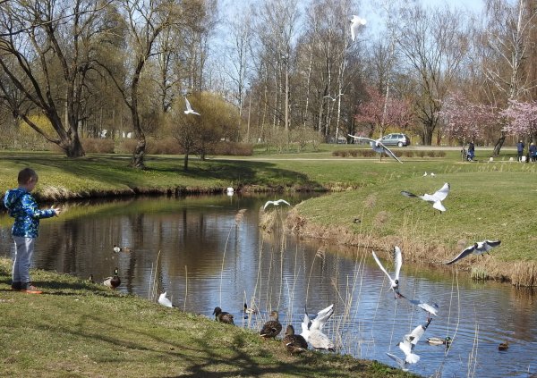 Прогулка в весеннем парке