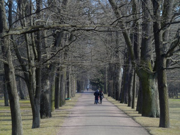 Прогулка в парке весной