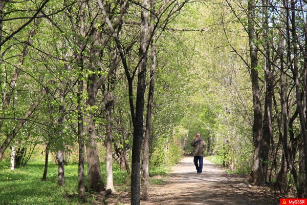 Аллея Весенняя ведущая к храму