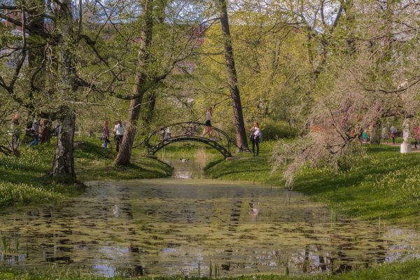 Баболовский парк река Кузьминка