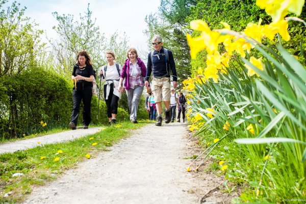 Весенняя прогулка