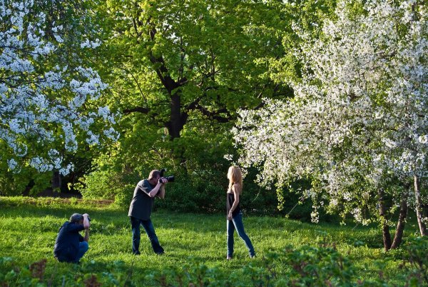 Яблоневый сад Беляево