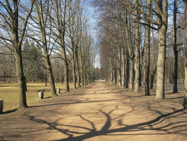 Ранняя Весна парк