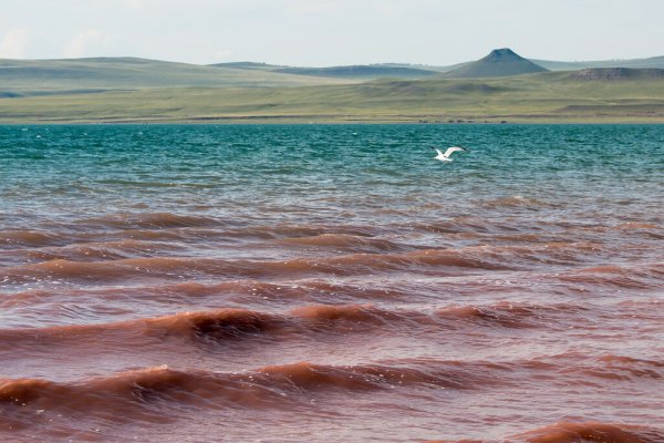 Шира Хакасия озеро беле