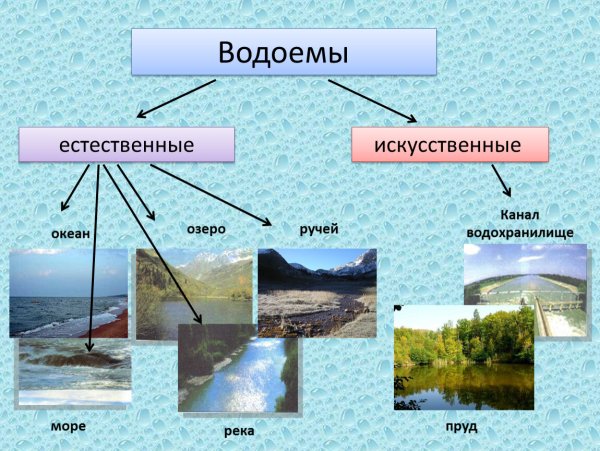 Естественные и искусственные водоемы