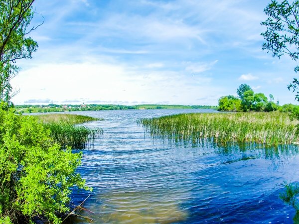 Сезеновский пруд Лебедянский район