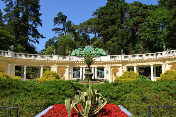 Парк Дендрарий Адлер