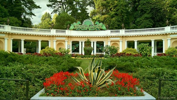 Парк Дендрарий Адлер