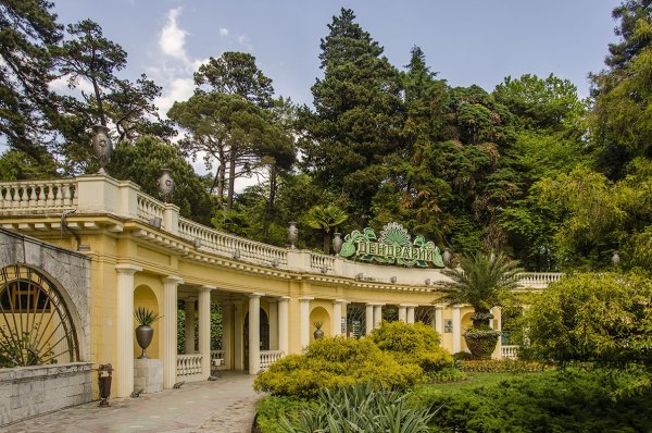 Ботанический парк Дендрарий в Сочи