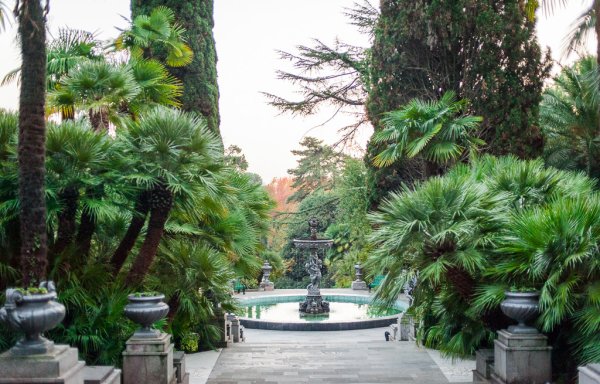 Сочинский национальный парк Дендрарий