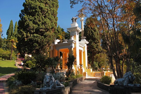 Парк Дендрарий Сочи