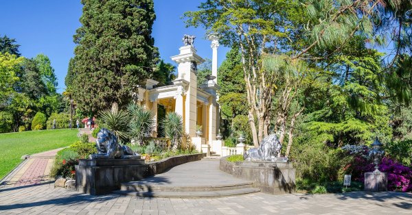 Парк Дендрарий Адлер