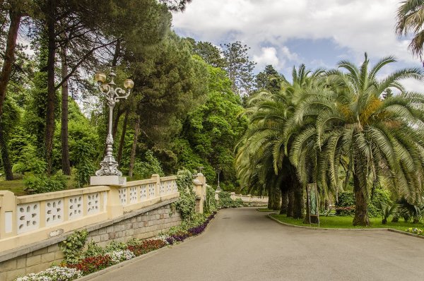 Сад Дендрарий Сочи