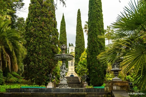 Парк Дендрарий Сочи