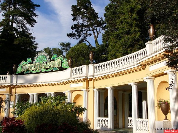 Сочинский Дендрарий Сочи