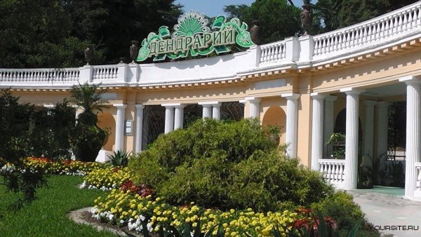 Сочи Ботанический сад Дендрарий