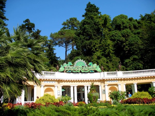 Парк Дендрарий Сочи