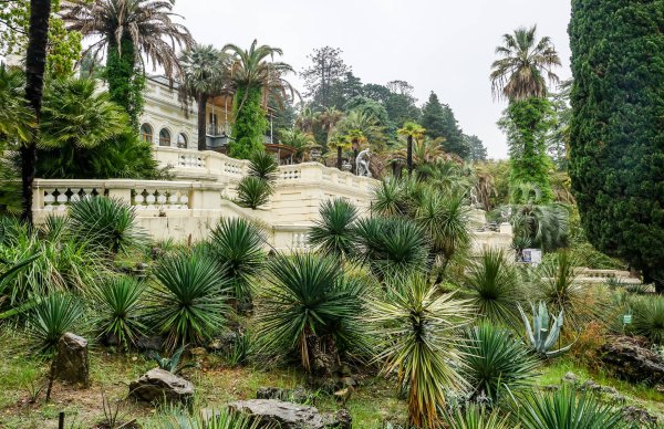 Сочи Ботанический сад Дендрарий