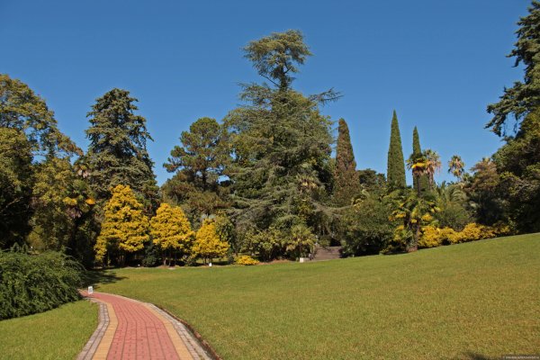 Дендрологический парк Адлер