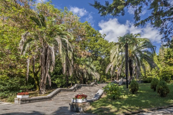 Парк Дендрарий Адлер