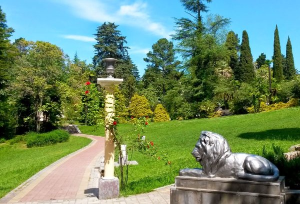 ФГБУ Сочинский национальный парк, парк Дендрарий, Сочи