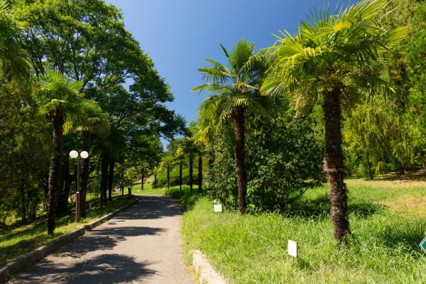 Дендрологический парк Сочи