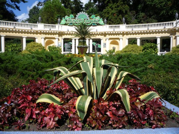 Сочинский Дендрарий Сочи