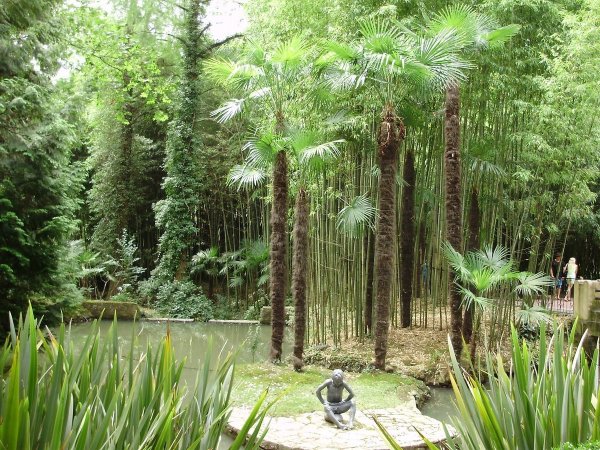 Сочинский национальный парк Дендрарий