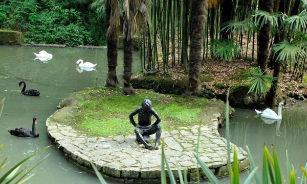 Парк Дендрарий Сочи