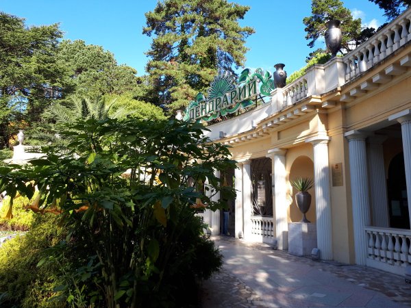 Дендрарий Сочи Адлер