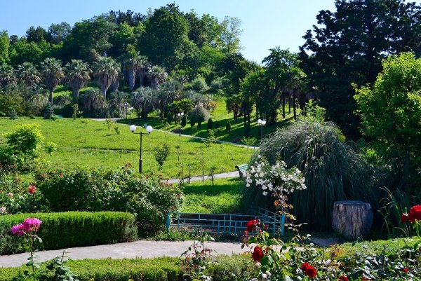 Верхний Дендрарий Сочи