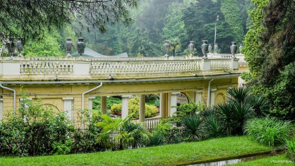 Ботанический парк Дендрарий в Сочи