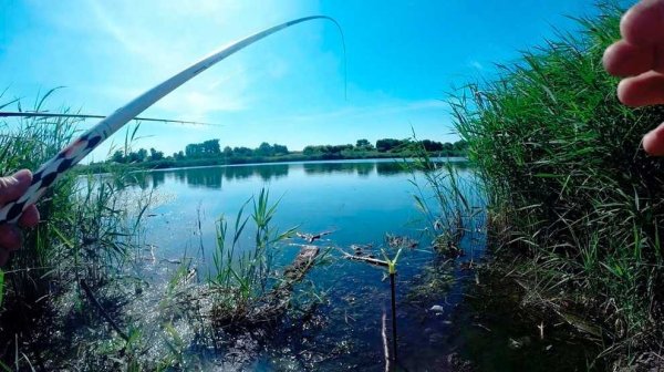 Удочка для рыбалки