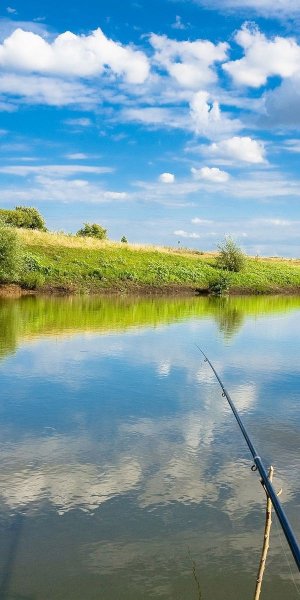 Природа на реке и рыбалка