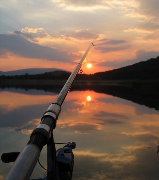 Природа рыбалка