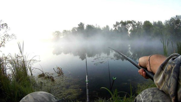 Поплавочная рыбалка