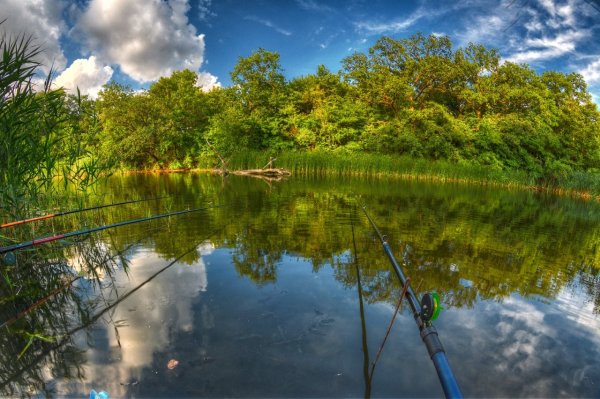 Летняя рыбалка